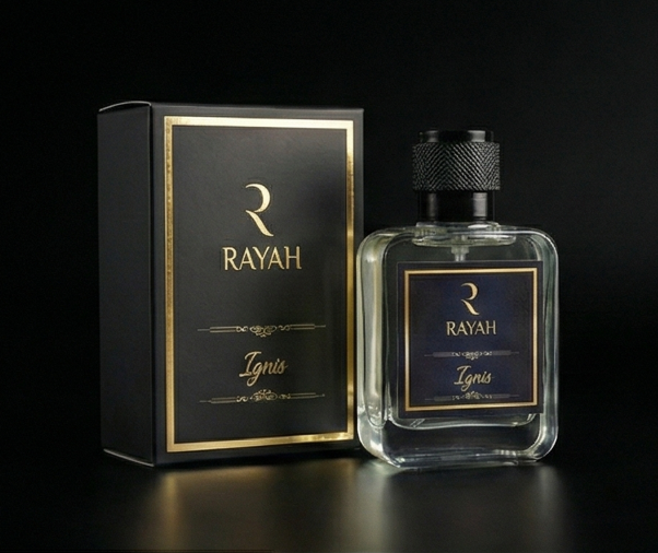 Ignis | The Fiery Pulse