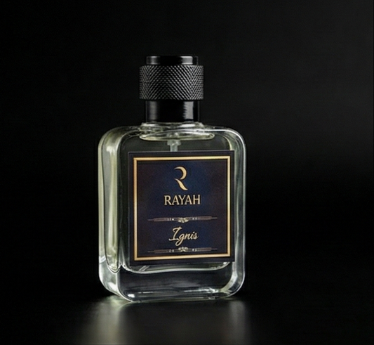 Ignis | The Fiery Pulse